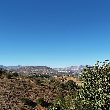 פיסארה Santa Teresa Bed & Breakfast Andalusien מראה חיצוני תמונה