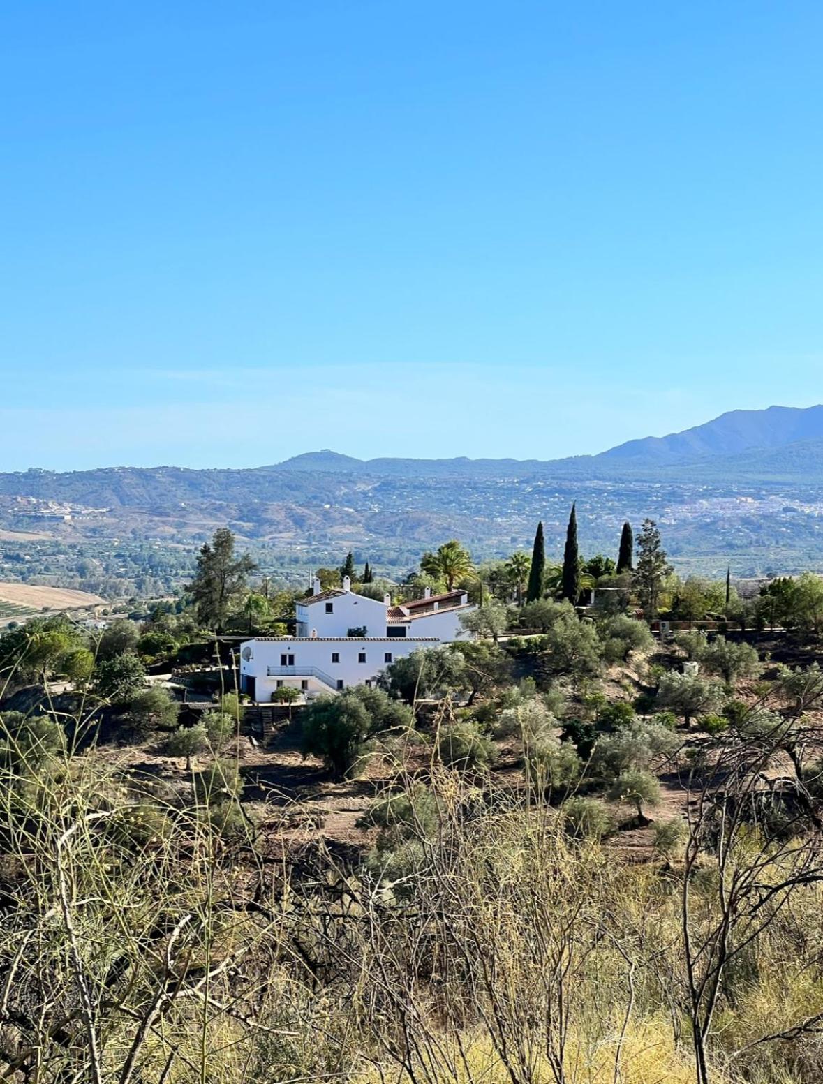 פיסארה Santa Teresa Bed & Breakfast Andalusien מראה חיצוני תמונה