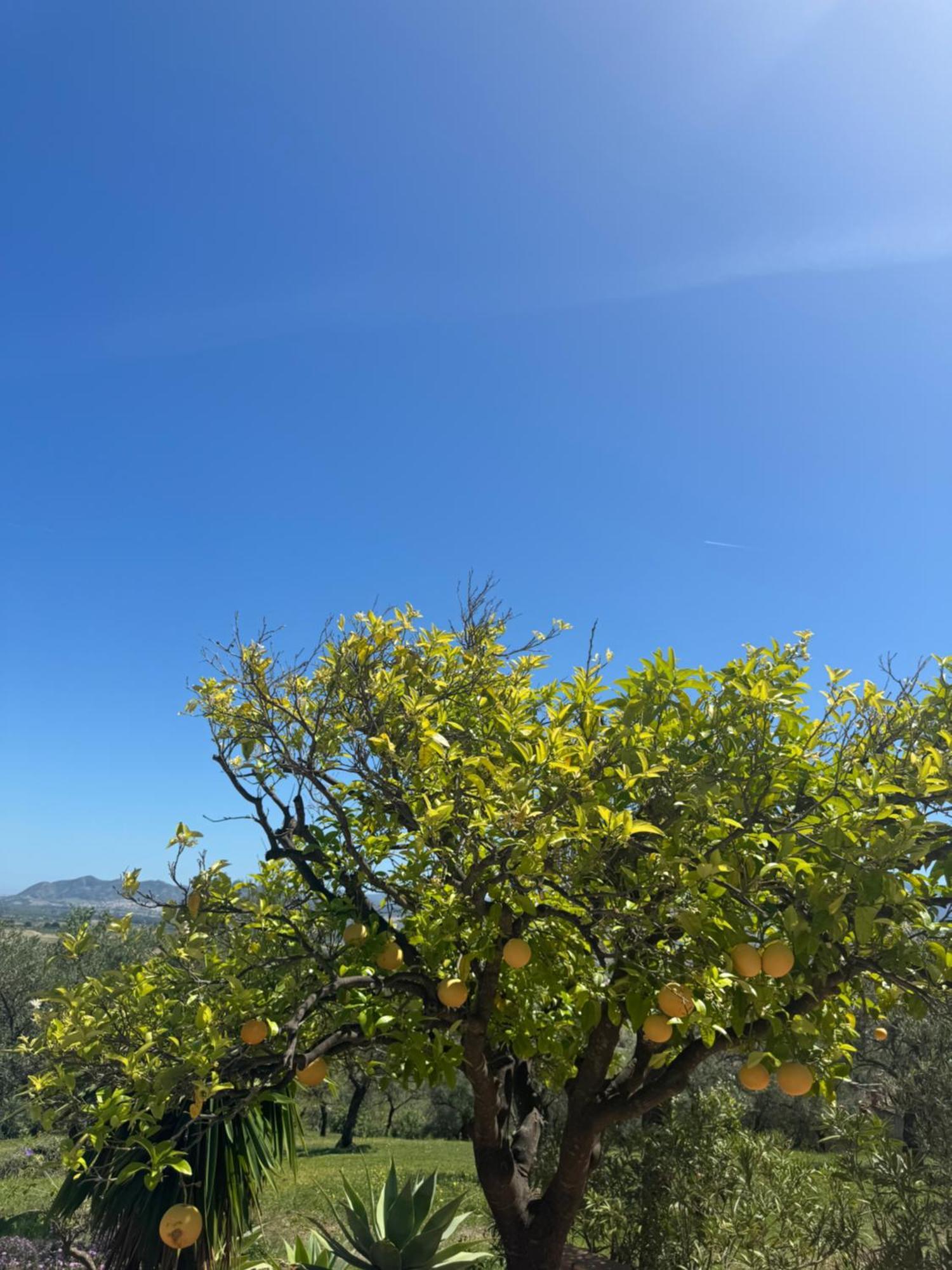 פיסארה Santa Teresa Bed & Breakfast Andalusien מראה חיצוני תמונה