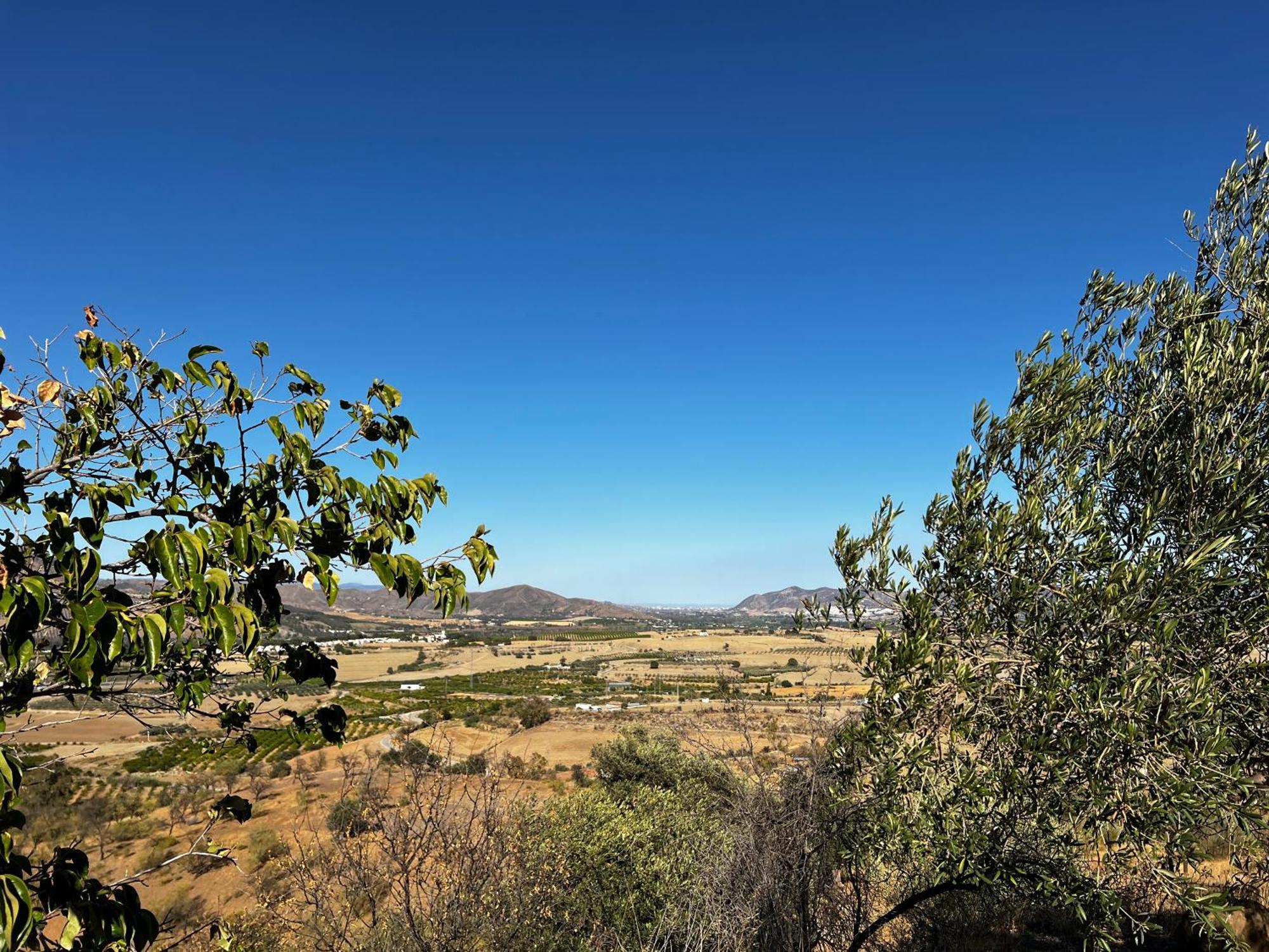פיסארה Santa Teresa Bed & Breakfast Andalusien מראה חיצוני תמונה