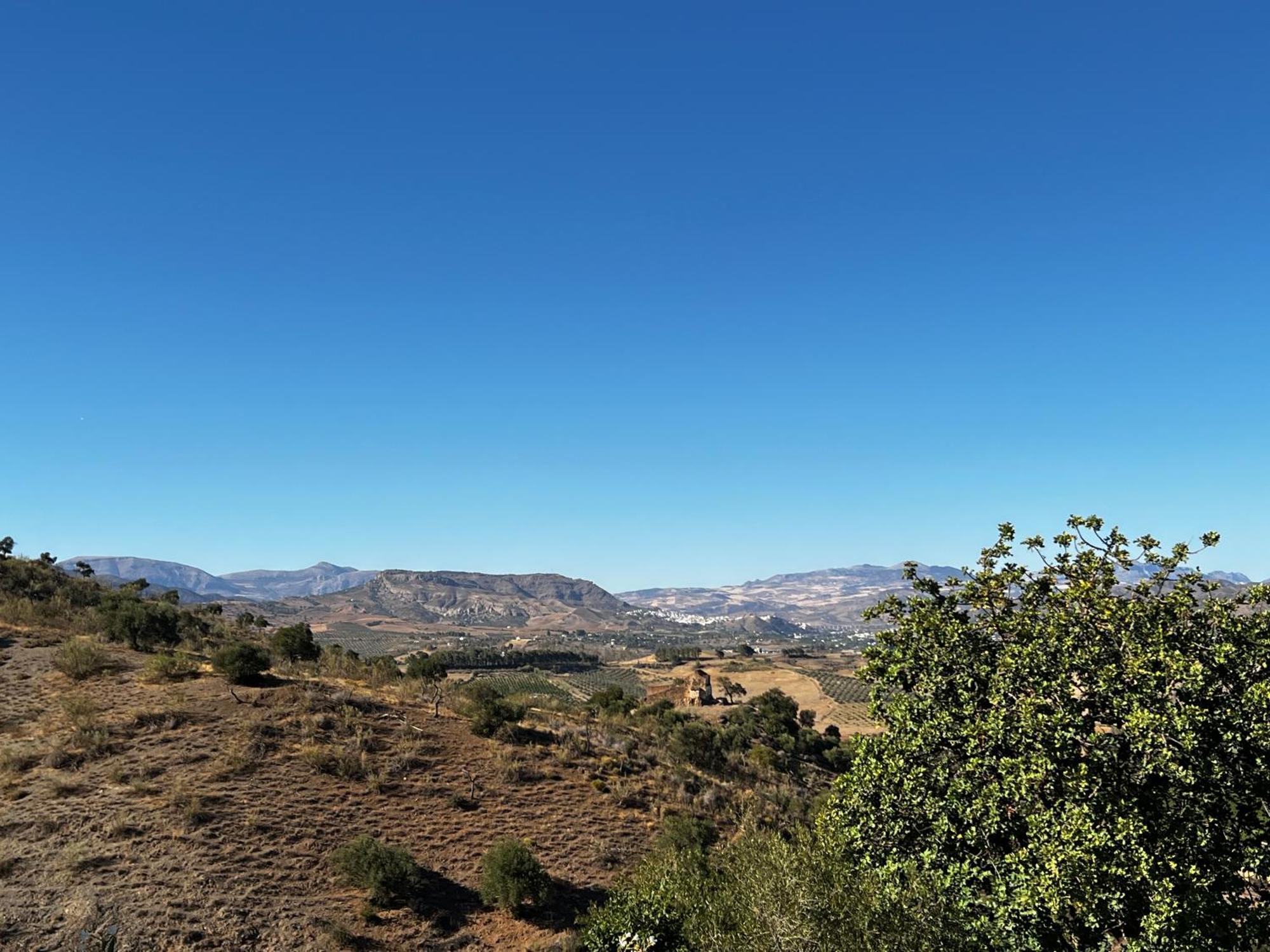 פיסארה Santa Teresa Bed & Breakfast Andalusien מראה חיצוני תמונה