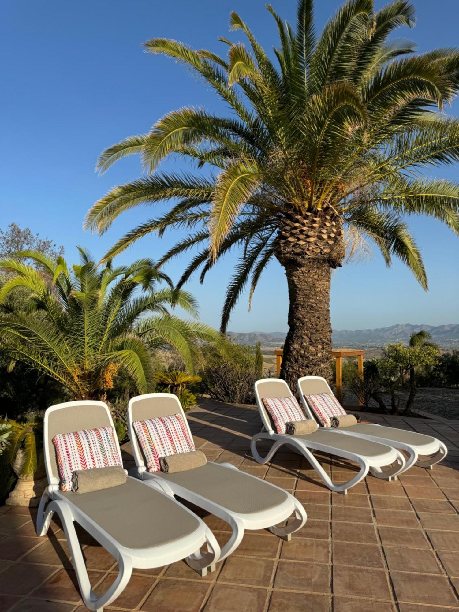 פיסארה Santa Teresa Bed & Breakfast Andalusien מראה חיצוני תמונה