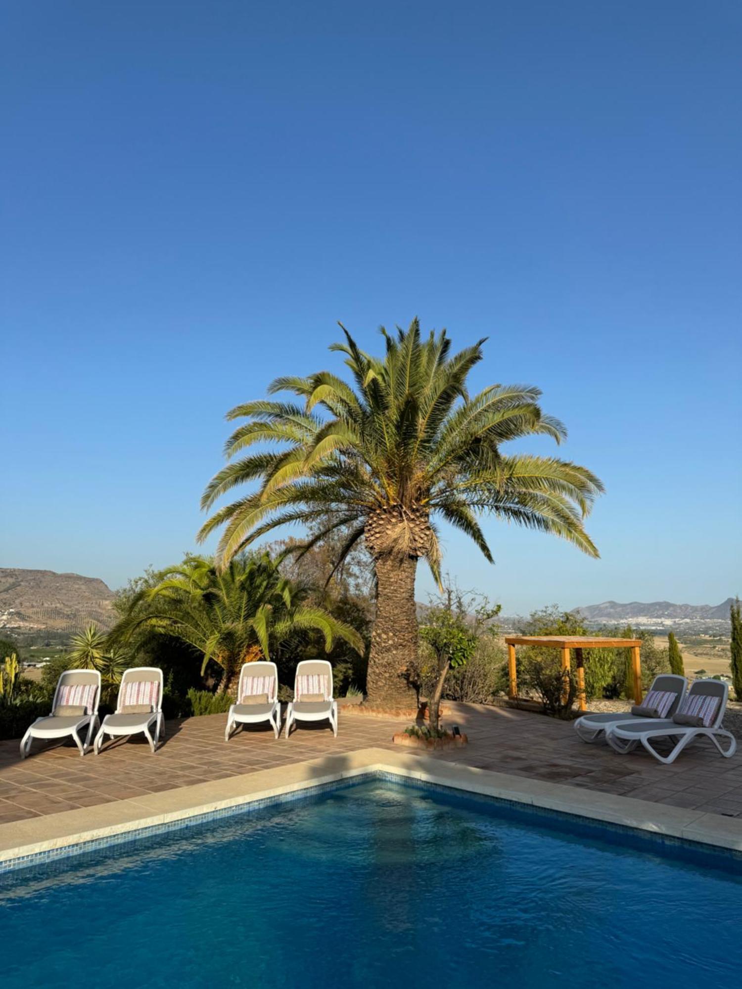 פיסארה Santa Teresa Bed & Breakfast Andalusien מראה חיצוני תמונה